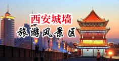 内射强奸小妹中国陕西-西安城墙旅游风景区