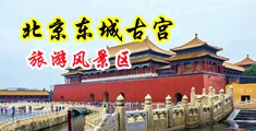 美穴淫女中国北京-东城古宫旅游风景区